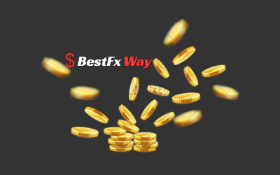 BestFx Way
