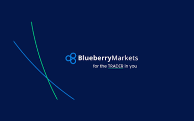 Blueberry Markets