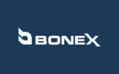 BoneX