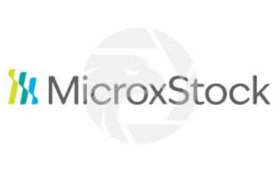 MicroXStock